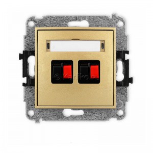 29IGG-2