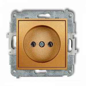 29MGP-1