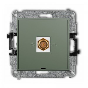 61IGFBO-1.1